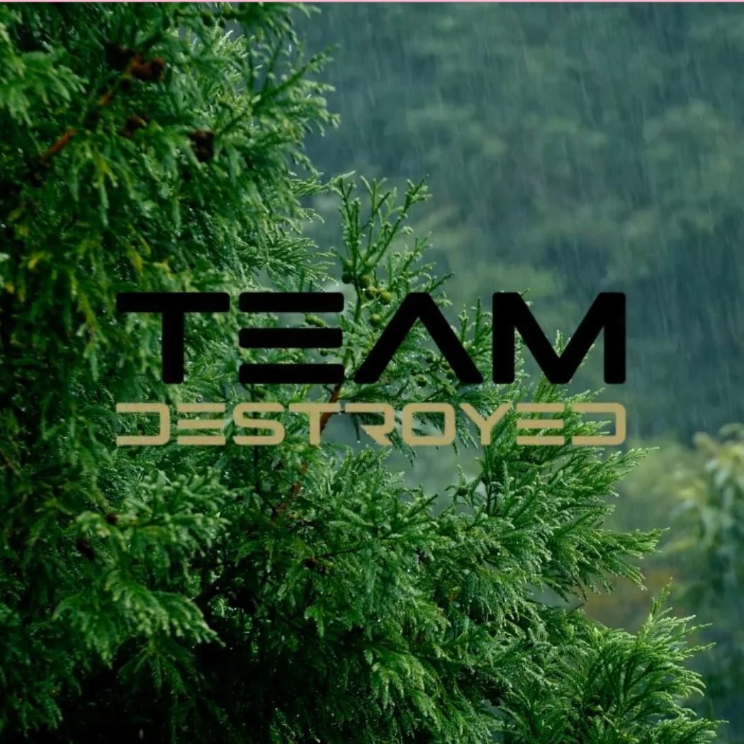 Team Destroyed website project